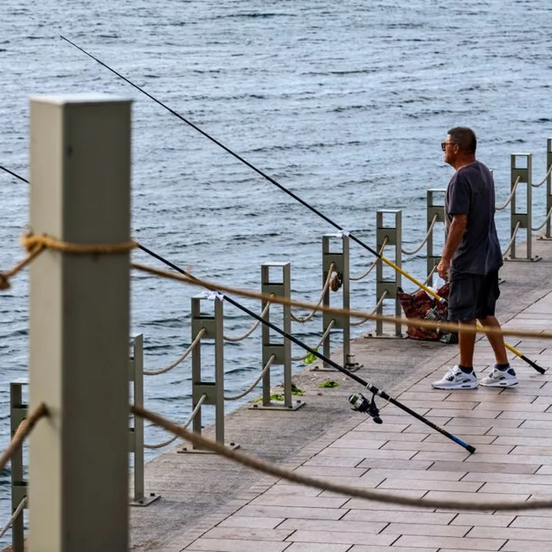 Kit de Pesca con Caña Telescópica